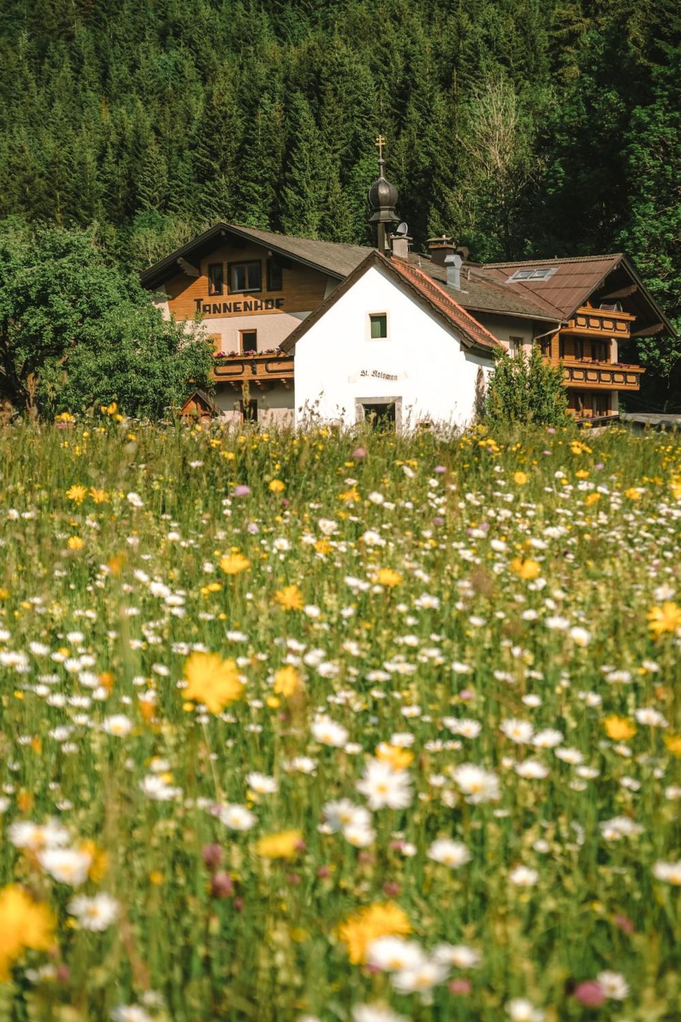 Der Tannenhof Hotel Reutte Exterior photo